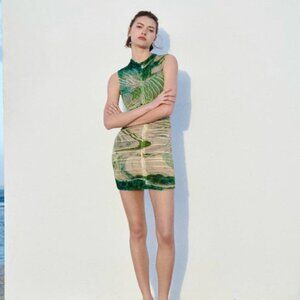 Zara Printed Tulle Dress